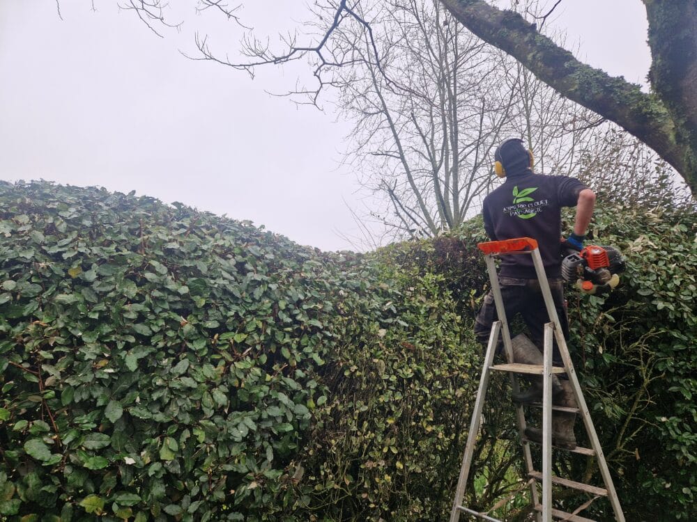 Entretien jardin printemps – CLOUET Paysagiste Bain-de-Bretagne