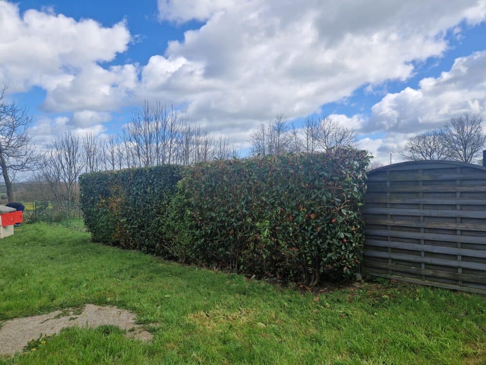 Entretien jardin particulier – CLOUET Paysagiste Ille-et-Vilaine Sud